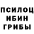 Галлюциногенные грибы Psilocybe Mr. Pryanik