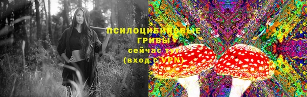 молекула духа Горнозаводск