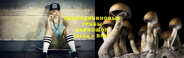 молекула духа Горнозаводск