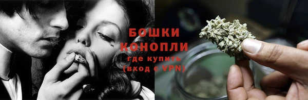 молекула духа Горнозаводск
