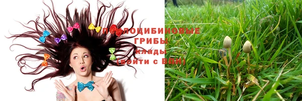 трава Горняк